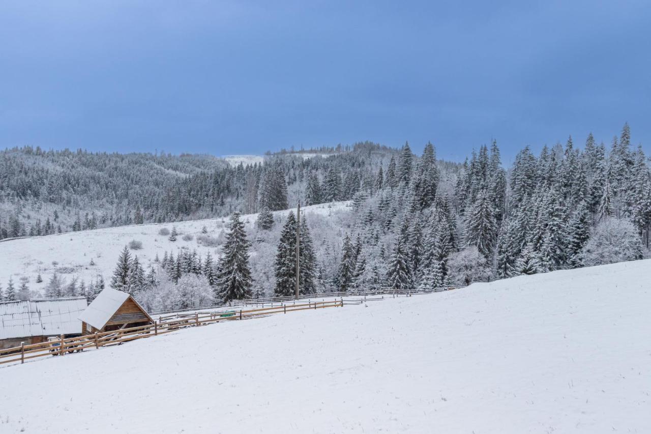 Шепіт Лісу Bukovel Exterior foto